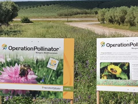 Operation pollinator nutrifarms