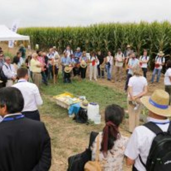 Ação de formação da APOSOLO e da Syngenta sobre Agricultura de Conservação na Agroglobal