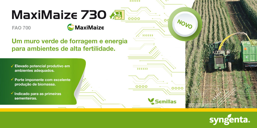 MaxiMaze 730