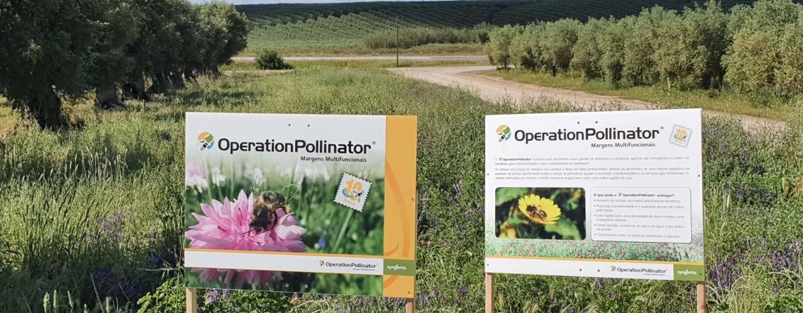 Operation pollinator nutrifarms