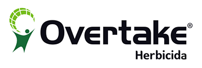Logo Overtake