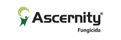Ascernity