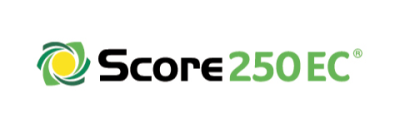 Score 250 EC