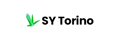 SY Torino