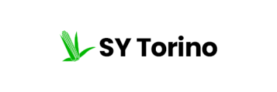 SY Torino