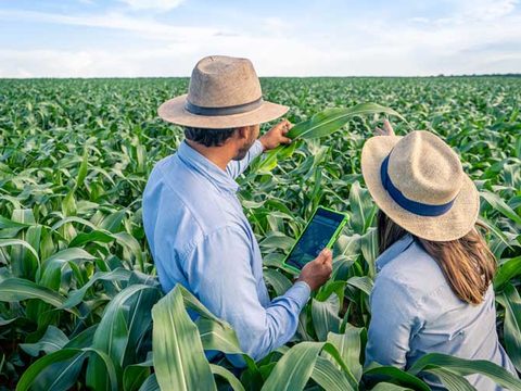 Cropwise, a plataforma de agricultura digital da Syngenta, ajuda milhões de agricultores em todo o mundo a tomar melhores decisões