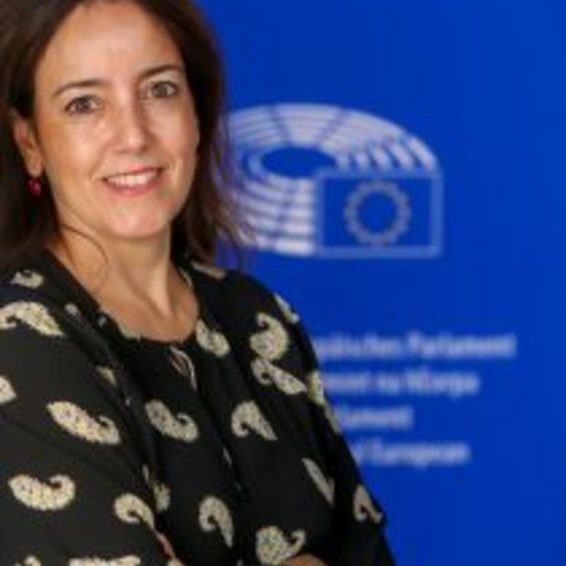 Isabel Carvalhais, Eurodeputada socialista