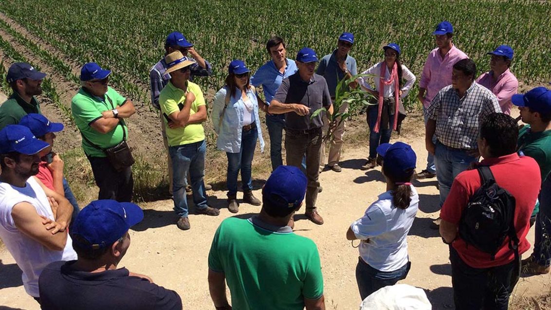 Syngenta reúne especialistas de milho no Mondego
