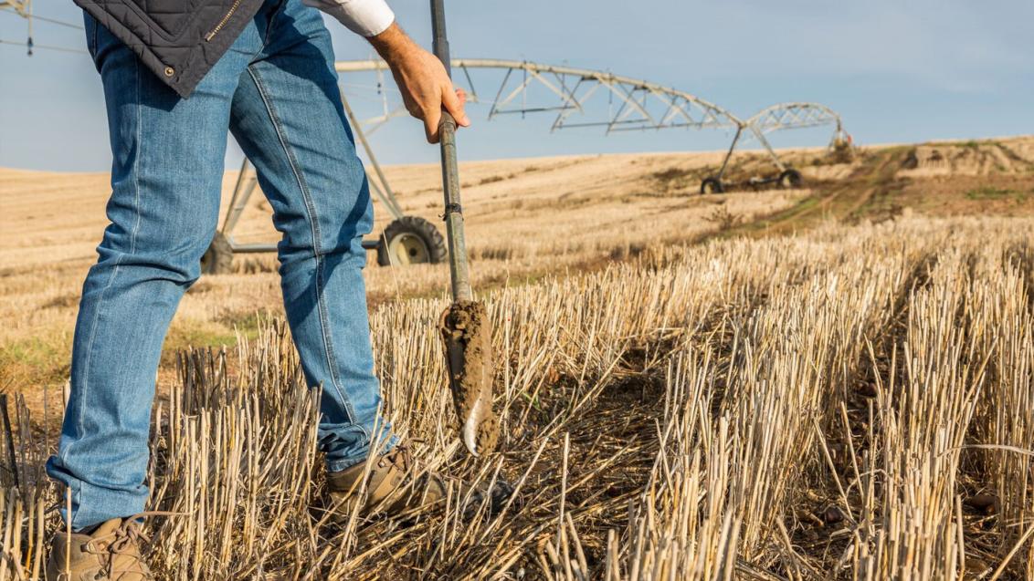 Agricultura responsável