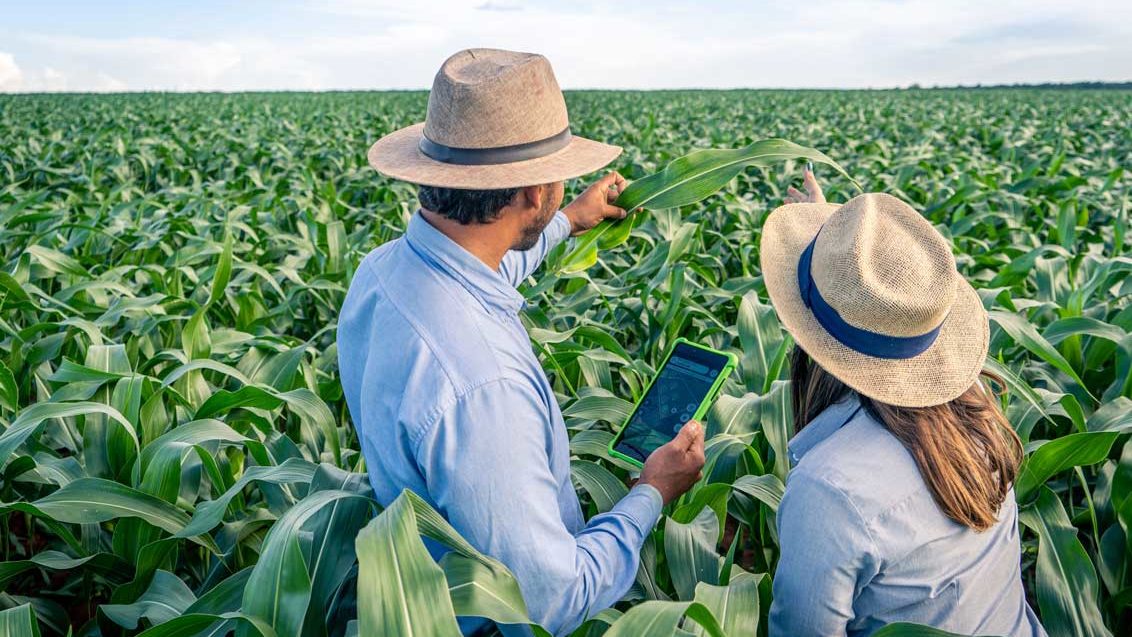 Cropwise, a plataforma de agricultura digital da Syngenta, ajuda milhões de agricultores em todo o mundo a tomar melhores decisões