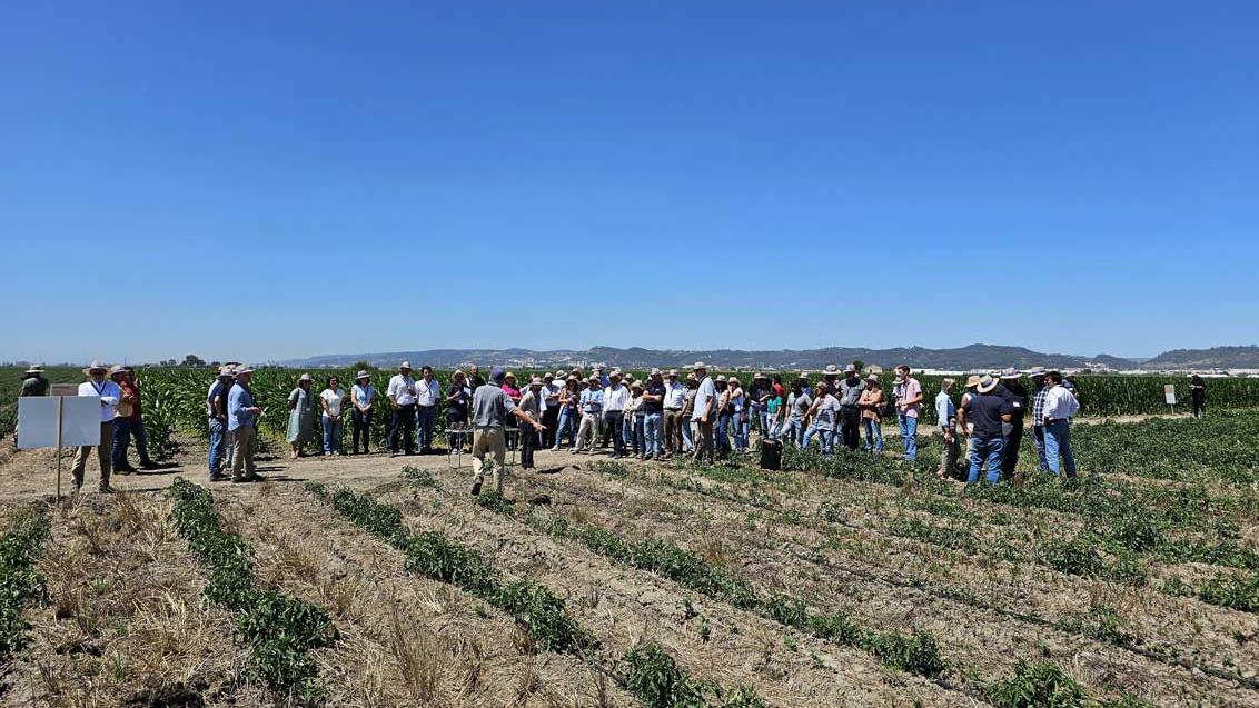 Dia campo TomAC