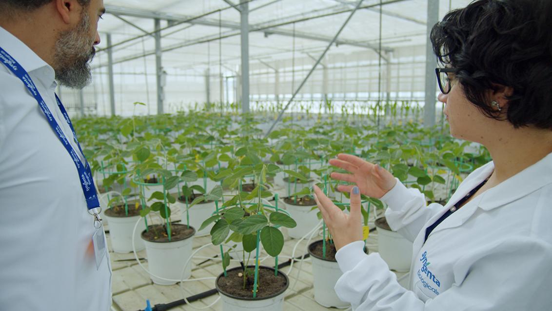 Syngenta reforça investimento em I&D de soluções biológicas para a agricultura