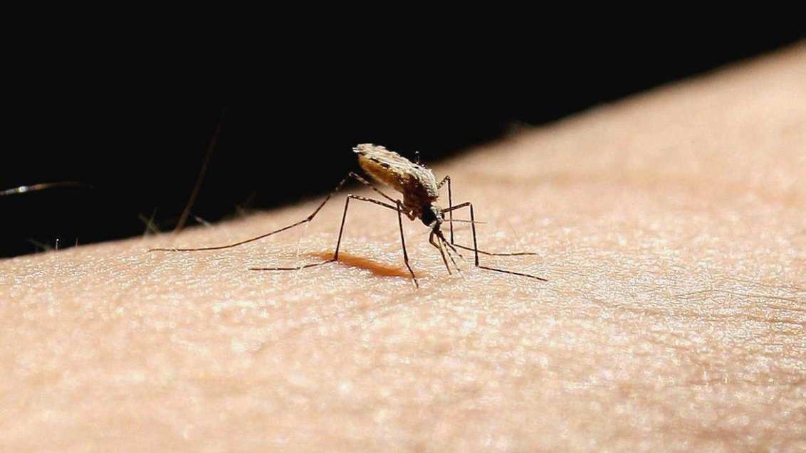•	Organização Mundial da Saúde pré-qualifica um inovador inseticida da Syngenta: o Sovrenta®