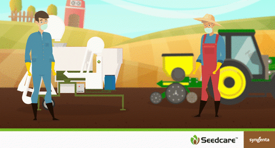 Seedcare vídeo