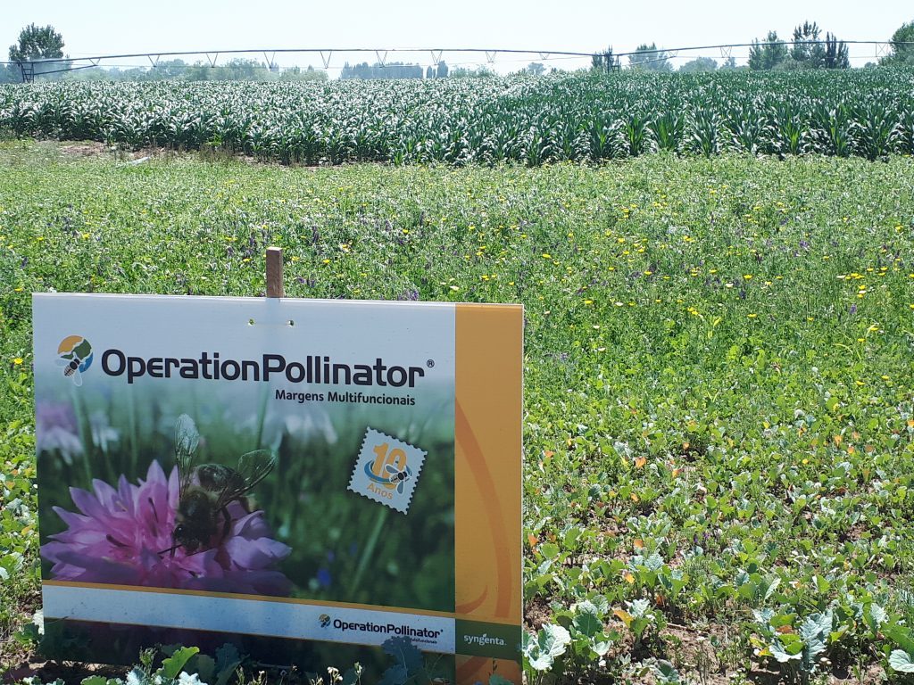 Operation Pollinator Agroglobal