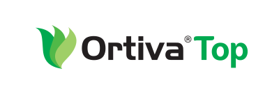 Logo Ortiva Top