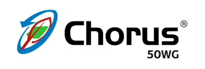 Logo Chorus 50 WG