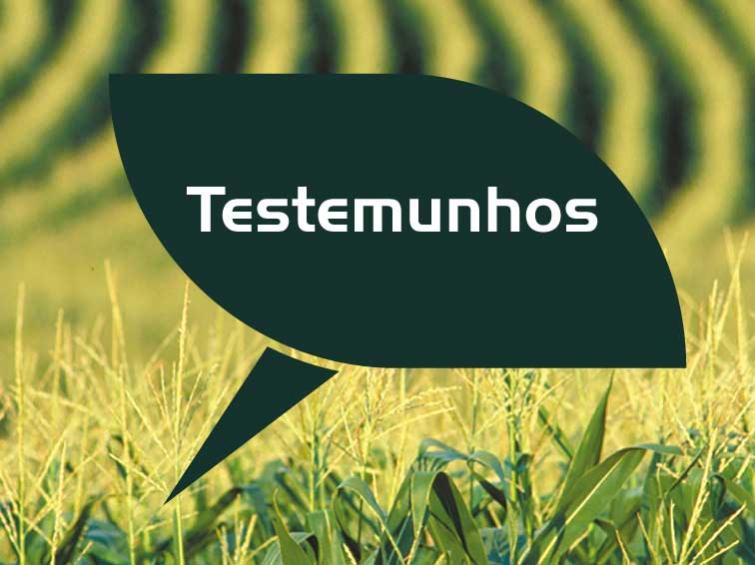 Testemunhos