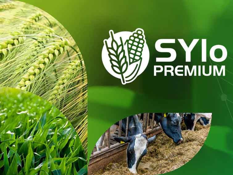 Sylo Premium