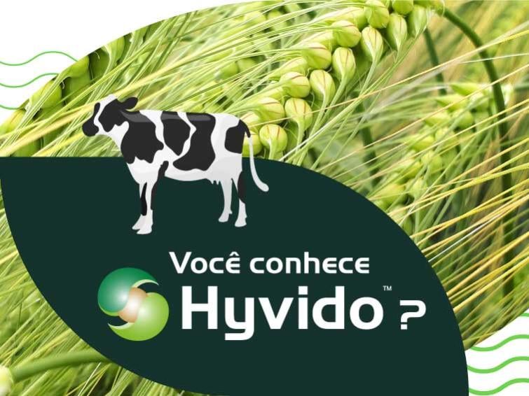 Você conhece Hyvido™?