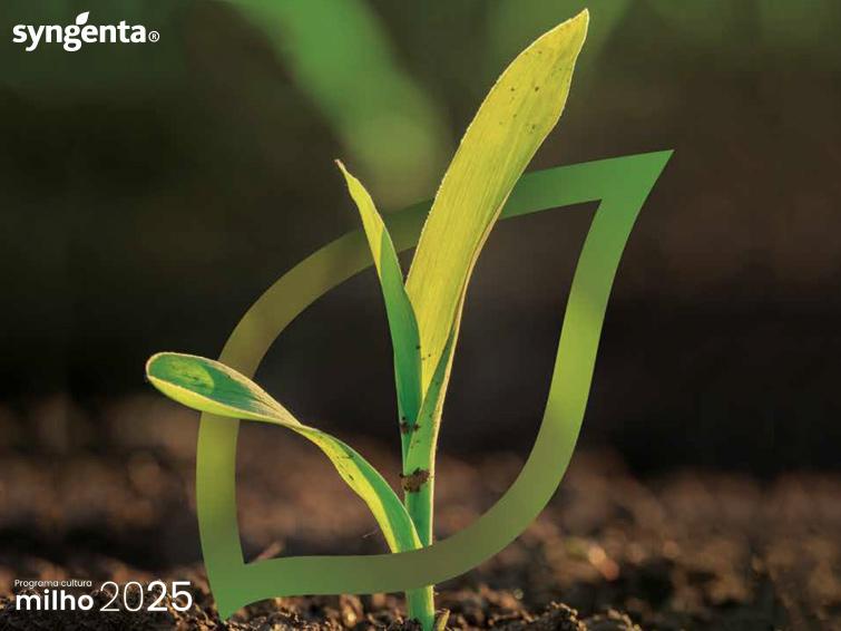 Catálogo programa cultura do milho 2025