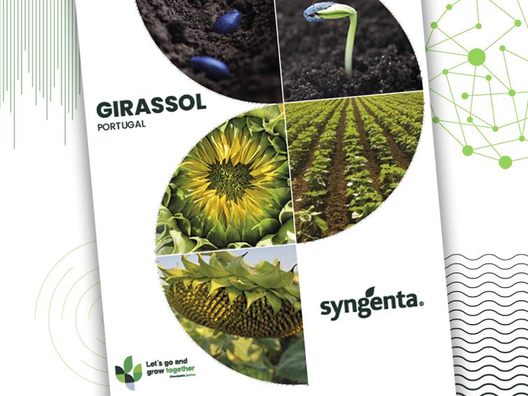 Catalogo sementes girassol