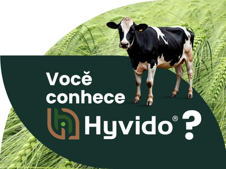 Você conhece Hyvido™?
