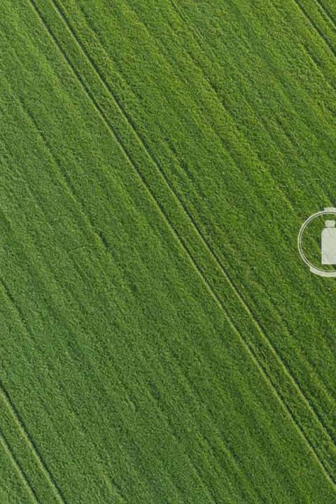 Campo verde visto de cima com um pivô de rega circular ao centro