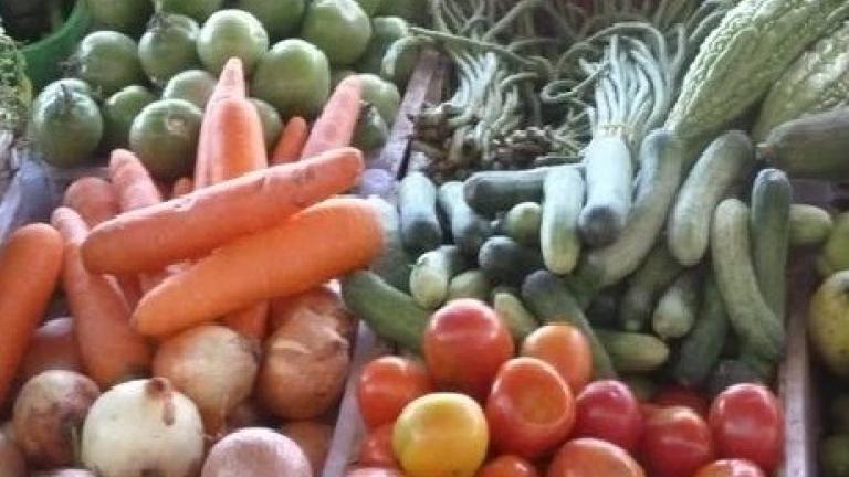 vegetais