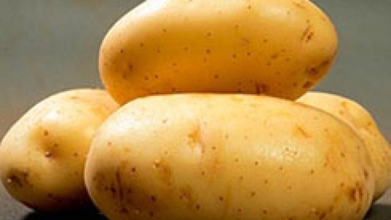 Batatas