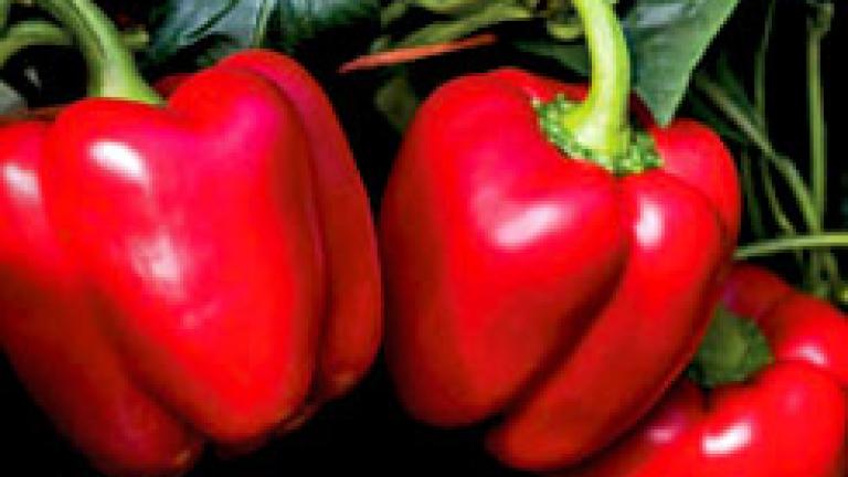 pimento vermelho