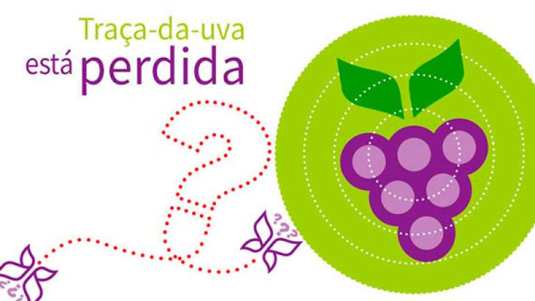 Traça-da-uva está perdida