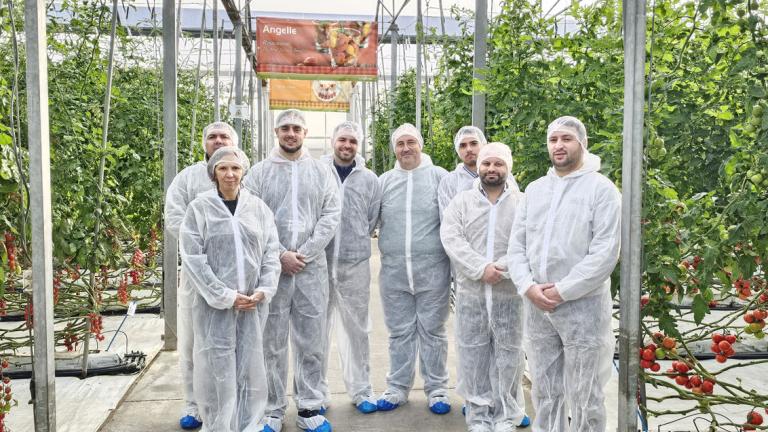 Visita à estufa demonstrativa do Centro Syngenta em El Ejido 