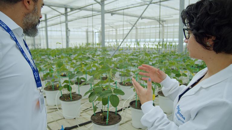 Syngenta reforça investimento em I&D de soluções biológicas para a agricultura