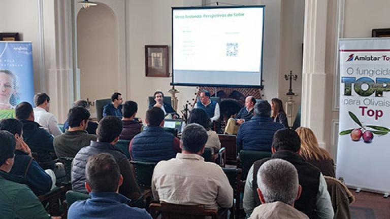 Competitividade do olival e do amendoal
