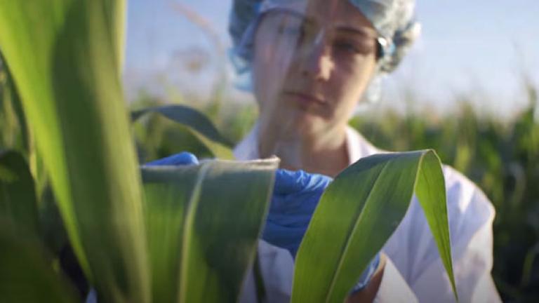 GEAPOWER® é feito para agricultores e com agricultores