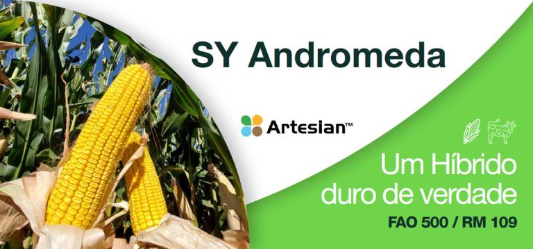 SY Andromeda
