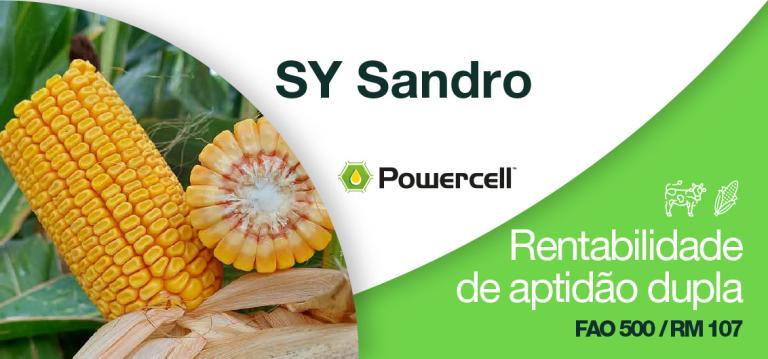 SY Sandro, Rentabilidade de aptidão dupla