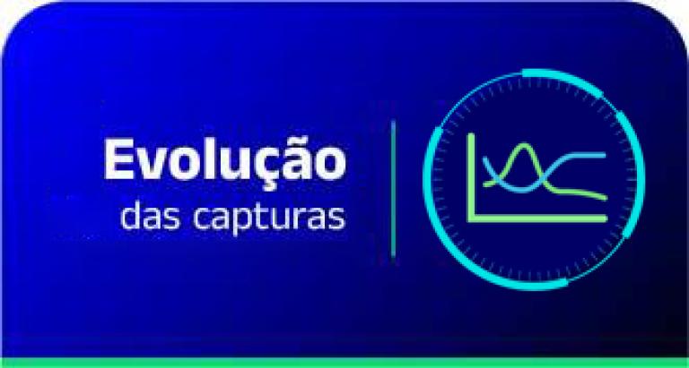 Evolução das capturas