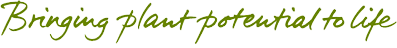 Bringing plant potential to life
