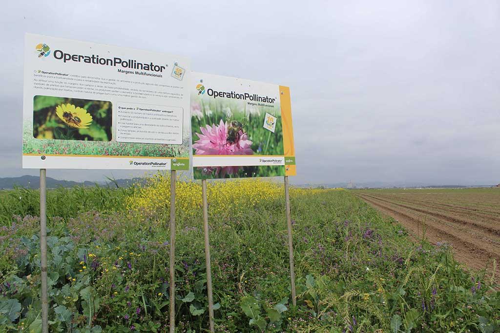 Operation Pollinator poster