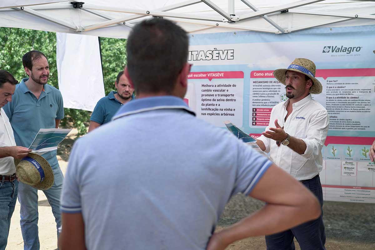 Syngenta Biologicals e Amêndoas Vitóriapolis apresentam resultados de programa de bioestimulação em amendoal