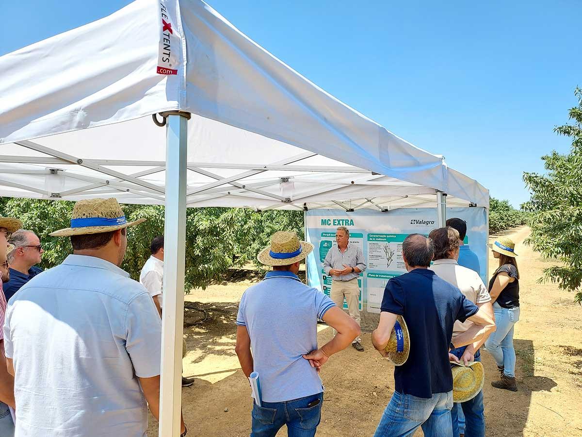 Syngenta Biologicals e Amêndoas Vitóriapolis apresentam resultados de programa de bioestimulação em amendoal
