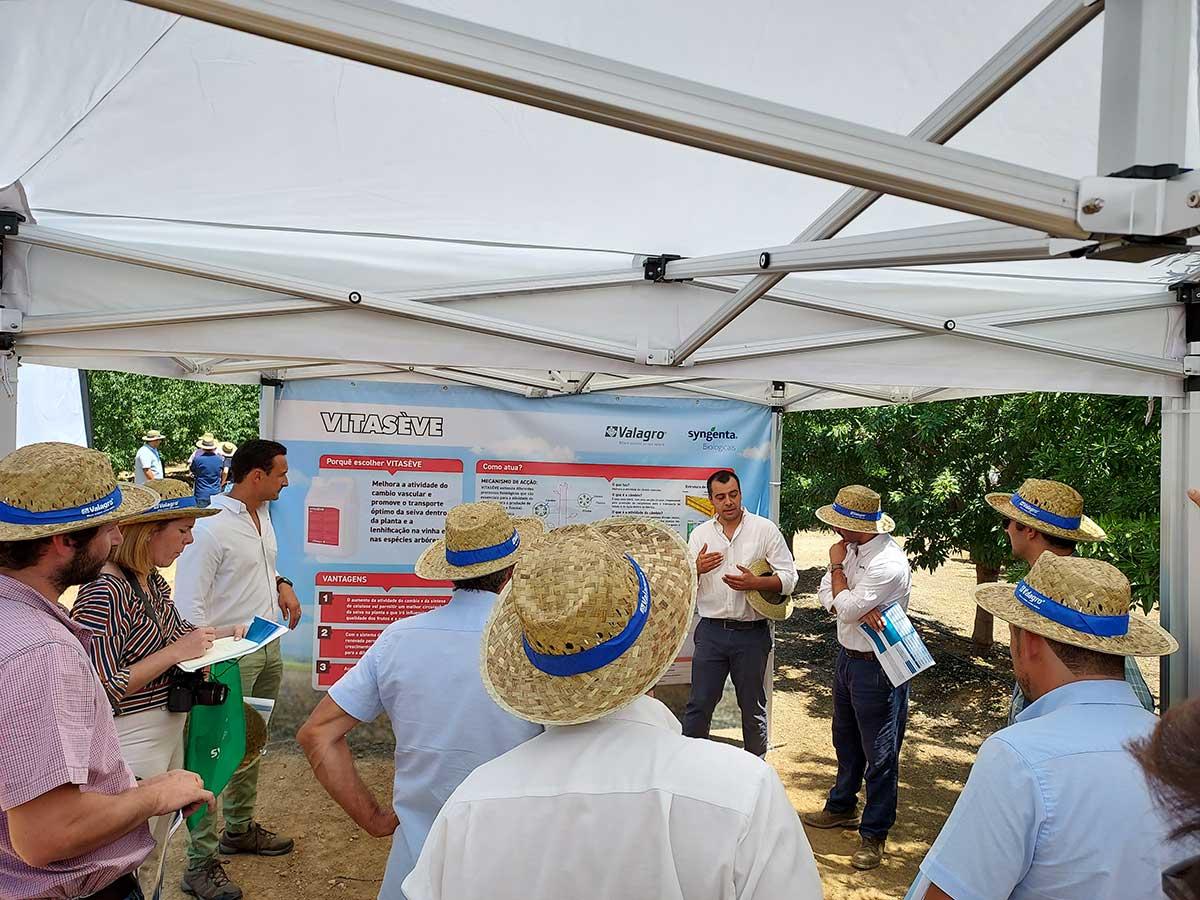 Syngenta Biologicals e Amêndoas Vitóriapolis apresentam resultados de programa de bioestimulação em amendoal