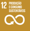 ODS 12