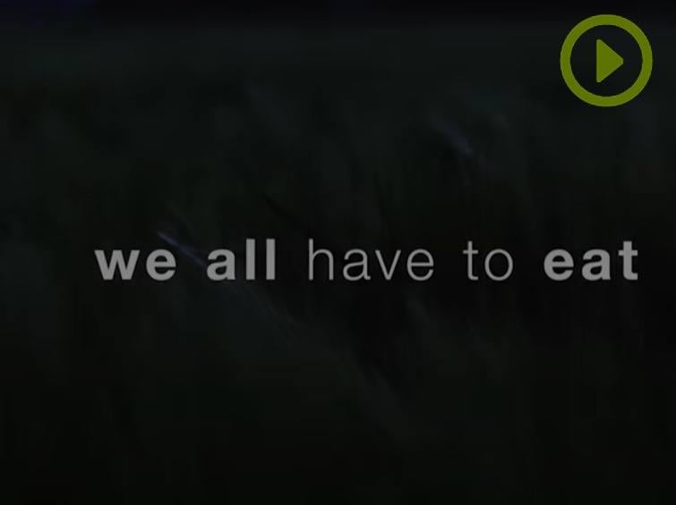 we all have to eat