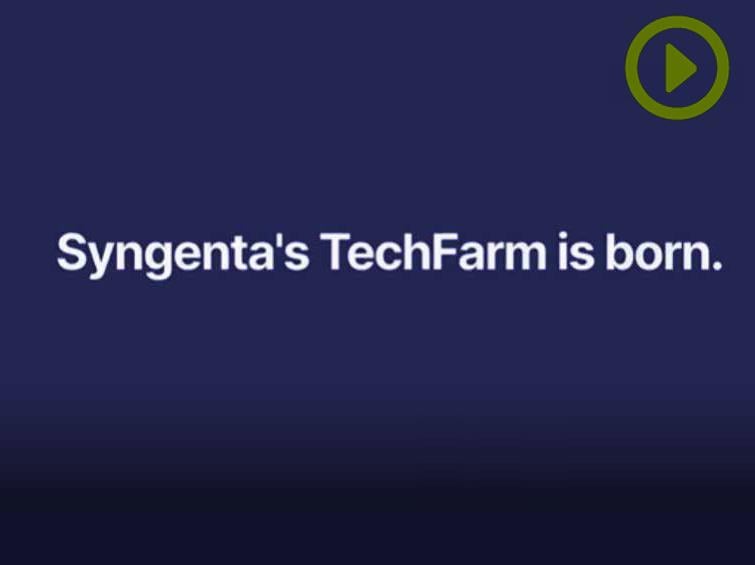 Syngenta's TechFarm is born