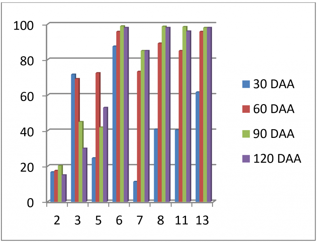 Figura 2 – Eficácia de diferentes programas de herbicidas sobre uma população de azevém-perene (L. perenne) resistente ao glifosato. Apenas se indicam os herbicidas com eficácia > 85 %:&nbsp; 6 -&nbsp; cicloxidime /glifosato, 8 – flazasulfurão /glifosato, 11- cletodime/glifosato 13 – quizalofope-P-etilo/glifosato