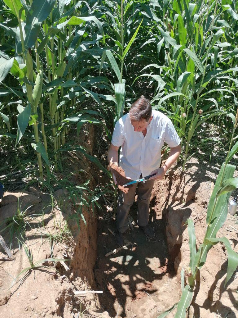 Joao Coimbra