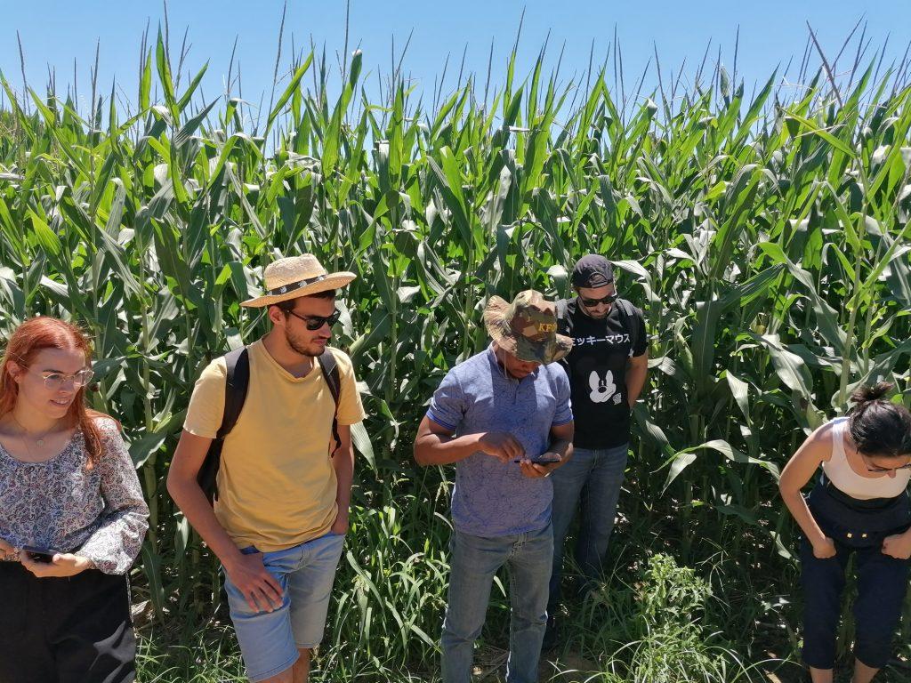 Tour Quinta da Cholda